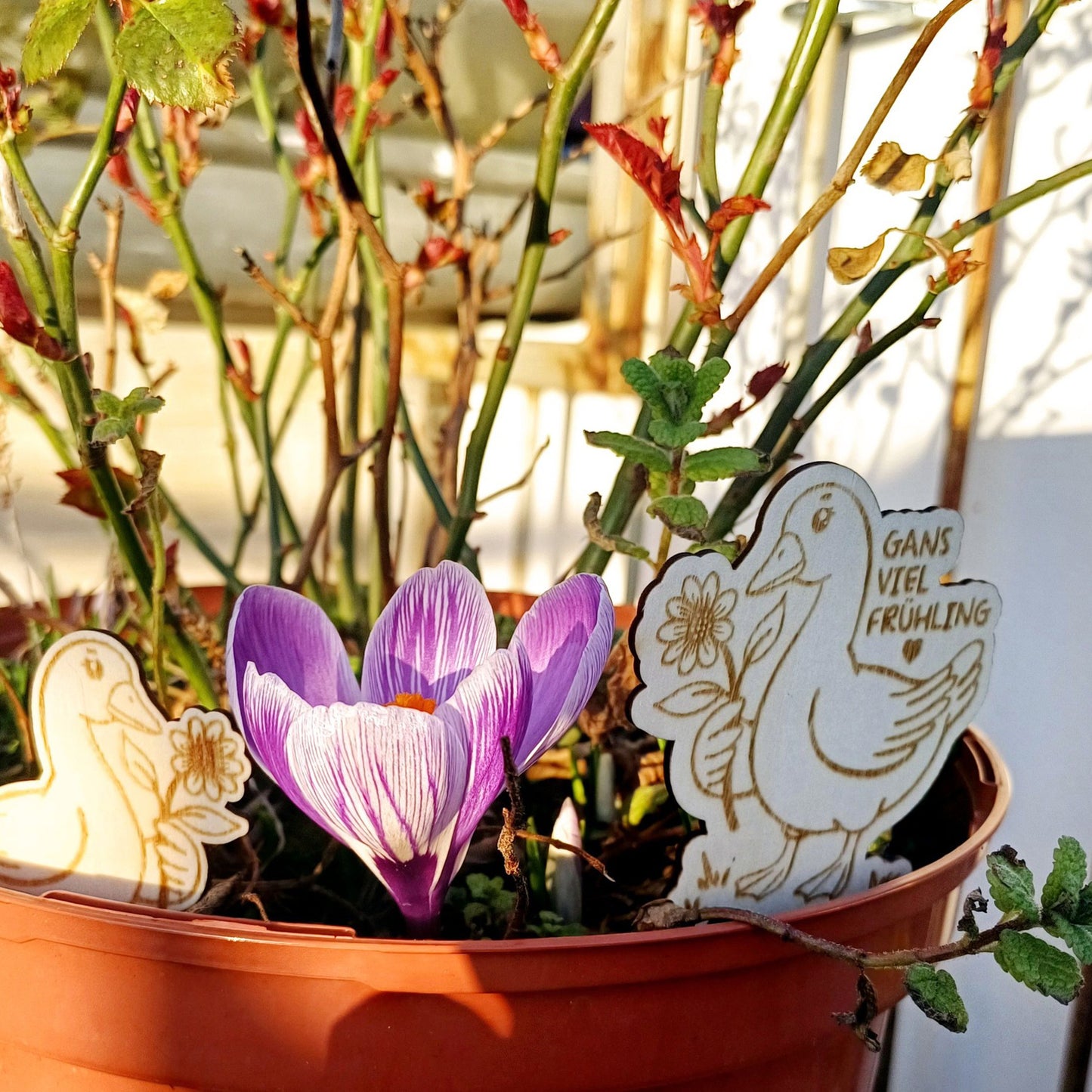 Plotterdatei Gans viel Frühling