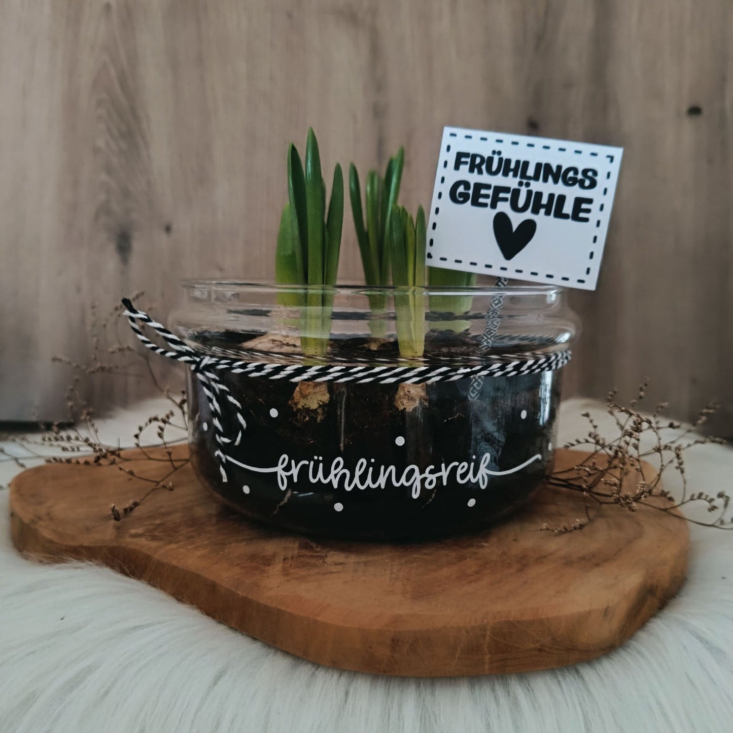 Plotterdatei Frühlingsreif