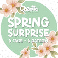 SPRING SURPRISE Wundertüte