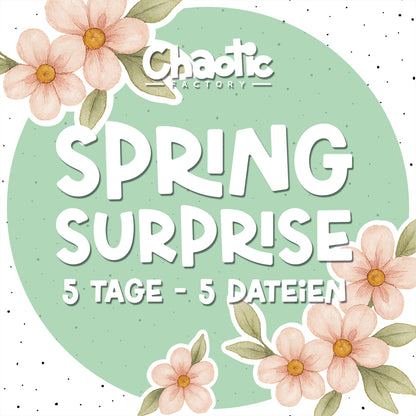 SPRING SURPRISE Wundertüte