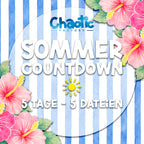 [VORBESTELLUNG] SOMMER COUNTDOWN Wundertüte